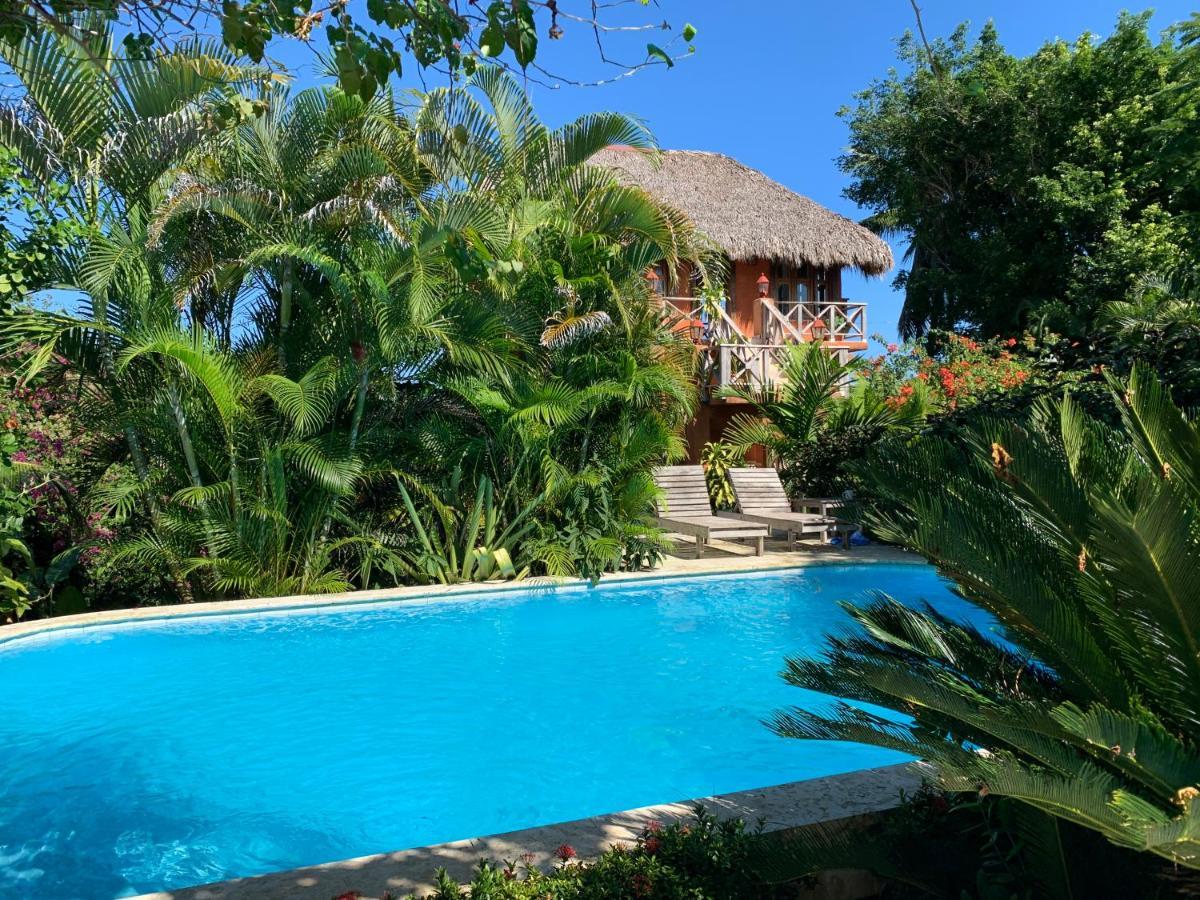 Surfbreak B&B Cabarete Eksteriør billede